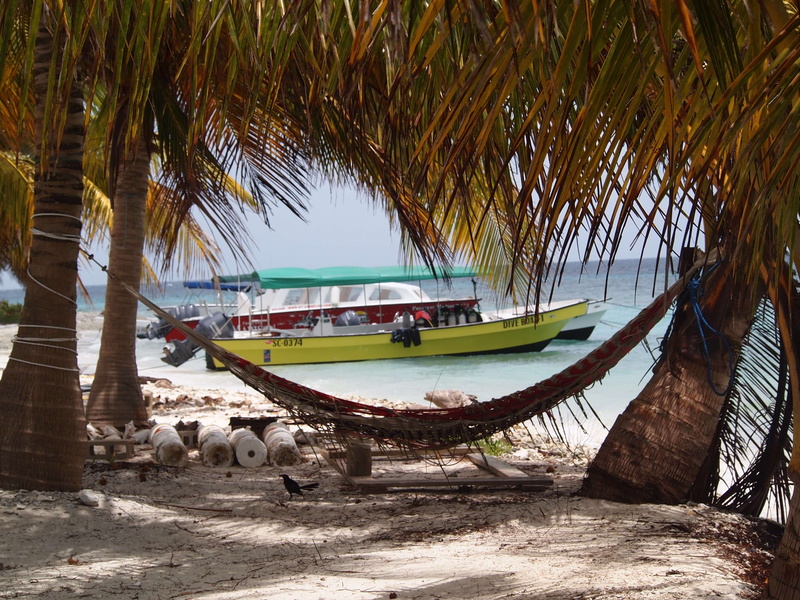 nature, travel, plant, palm tree, nautical vessel, tree, no people, mode of transportation, belizean caye, transportation, water, tranquil scene, outdoors