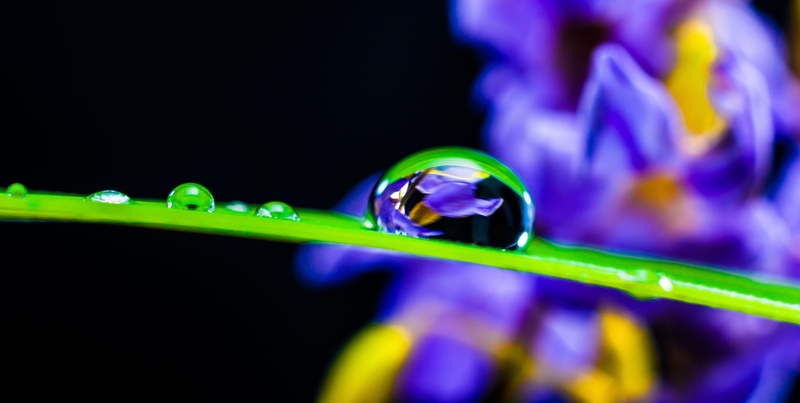 Drop Of Water, 5K, raindrop, environment, day, water, growth, plant, springtime, Blade Of Grass, Drip, studio shot, macro, motion, focus on foreground