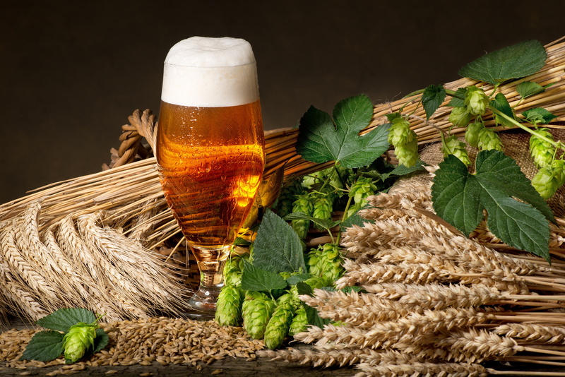 ears, foam, clear, 4K, grain, wheat, beer, wine, hops, glass