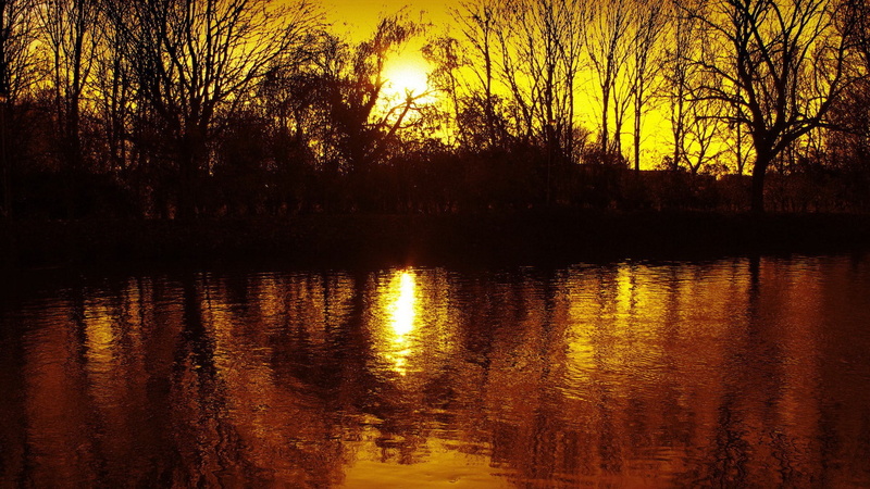 1080P, download  nature pack 1920x1080