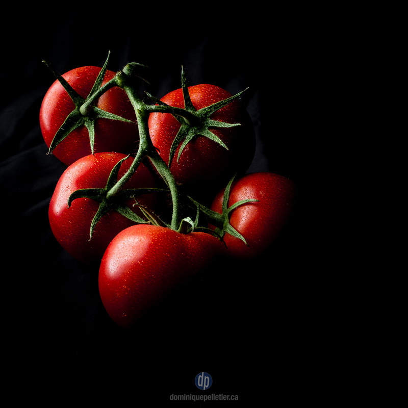shadow, tomate, organic, noir, tomatoes, freshness, 720P, photo, ombre, fruit, légume, five, veggies, red, ripe, vegetarian Food, black, red  green, tomato