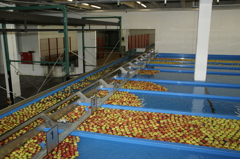 yellow, food and drink, architecture, water, large group of objects, freshness, no people, built structure, day, food, industry, nature, factory, food processing plant