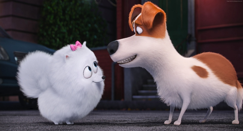 dog, The Secret Life of Pets, 2K, cartoon, Best Animation Movies of 2016