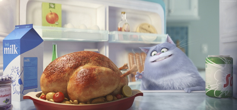 2K, The Secret Life of Pets, Best Animation Movies of 2015, cartoon