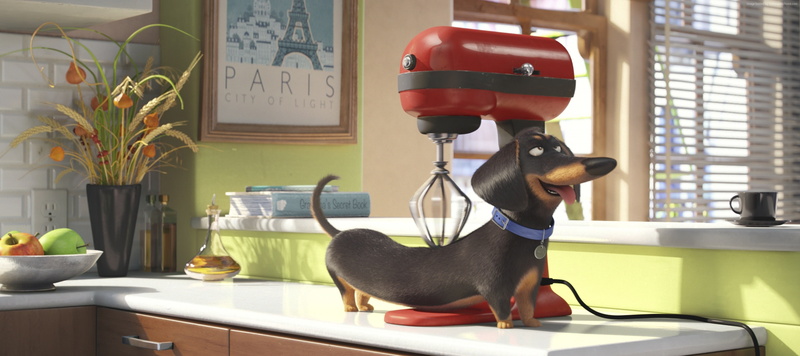 The Secret Life of Pets, Best Animation Movies of 2016, 2K, cartoon
