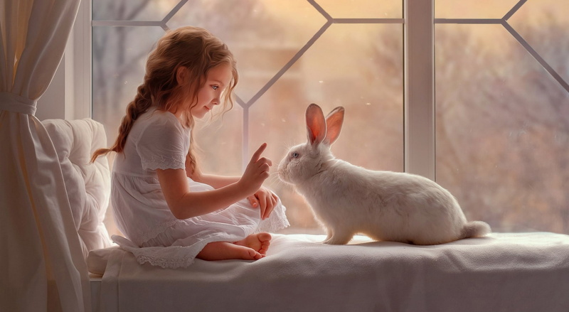 Animal, Rabbit, Cute, pets, child, Bunny, Girl, 1080P