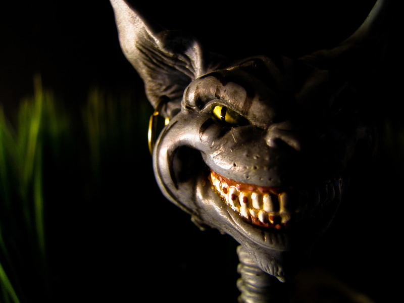 cheshire cat, alice, american mcgees alice, mcgee, american, 1080P, alice in wonderland, cheshire, wonderland, 2048x1536, s, cat