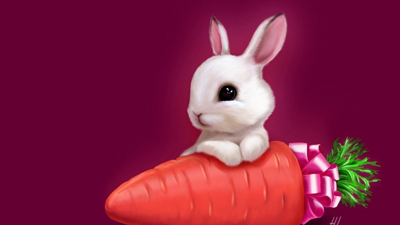domestic, funny, art, fluffy, animal, rabbit, ear, celebration, cute, cartoon, easter, furry, little, 4K, pets, hare, rodent, mammal, bunny, fur, pet