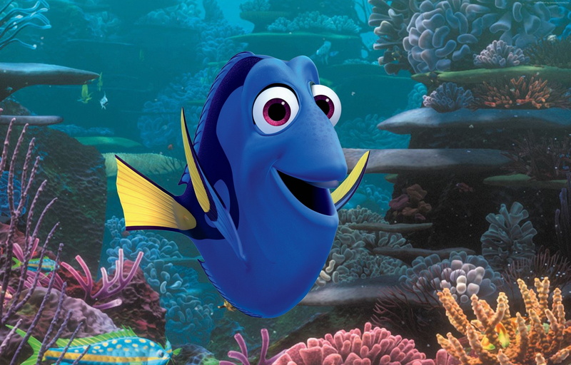 animation, Pixar, Finding Dory, 2K, nemo, fish