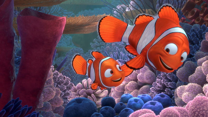 vertebrate, 1080P, sea, one animal, animal, orange color, aquarium, undersea, swimming, tank, coral, water, animal wildlife, sea life, animals in the wild