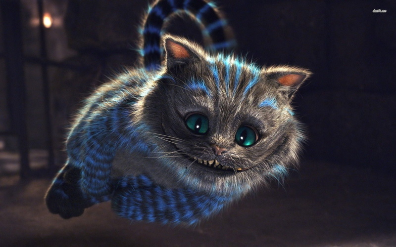 young animal, Cheshire Cat, no people, close-up, feline, tabby, cat, mammal, 1080P, domestic animals, animal eye, animal body part, animal hair, one animal
