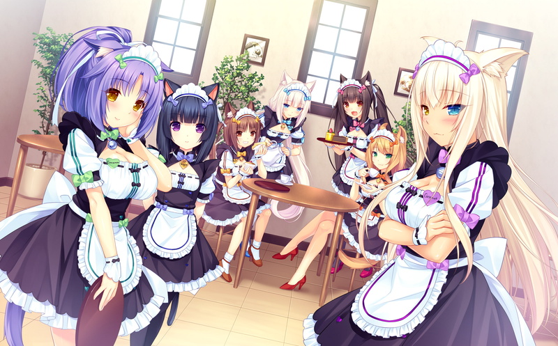 Nekopara, Chocola (Nekopara), Shigure Minaduki, Maple (Nekopara), Anime, Coconut (Nekopara), Cinnamon (Nekopara), Maid, Azuki (Nekopara), 2K, Vanilla (Nekopara
