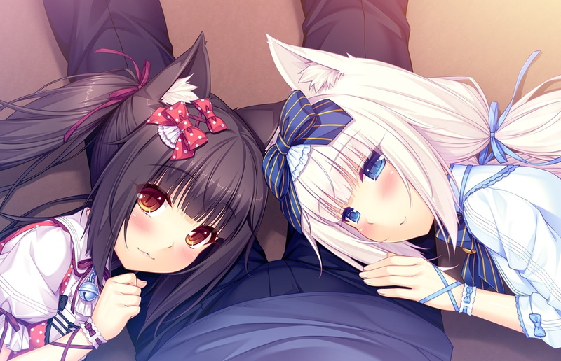 Chocola (Nekopara), Vanilla (Nekopara), Anime, Nekopara, 1080P