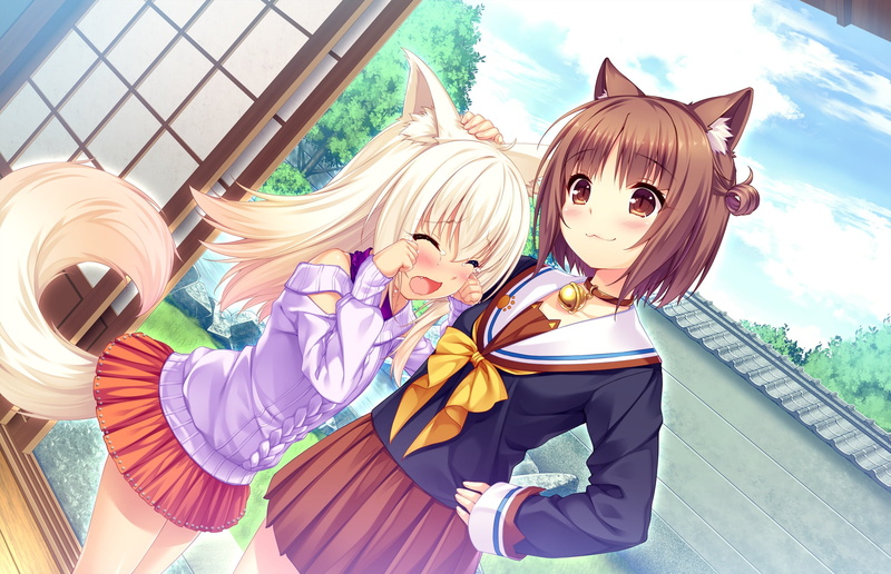 1080P, Coconut (Nekopara), Anime, Azuki (Nekopara), Nekopara