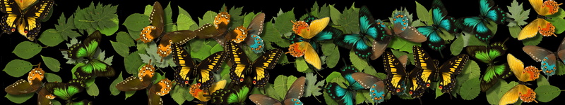 5760x1080 px, 5K