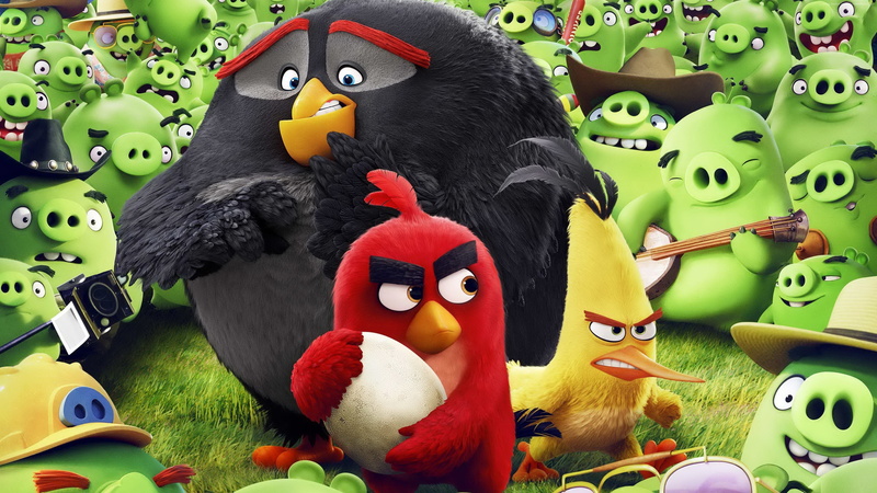 bird, indoors, no people, stuffed toy, choice, representation, variation, close-up, group of animals, bomb, vertebrate, chuck, red, Best Animation Movies of 2016