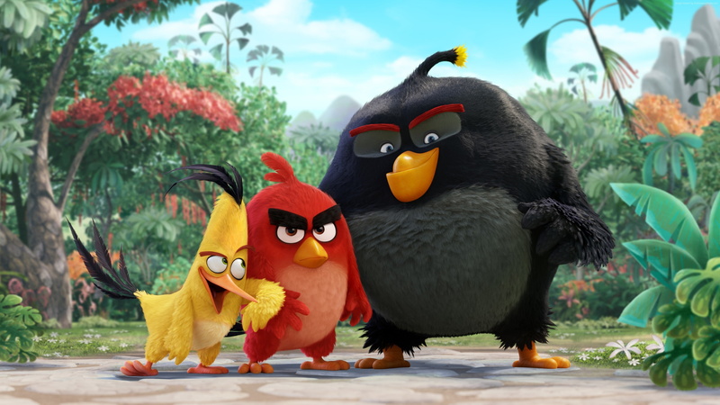 bomb, Best Animation Movies of 2016, red, Angry Birds Movie, chuck, 4K