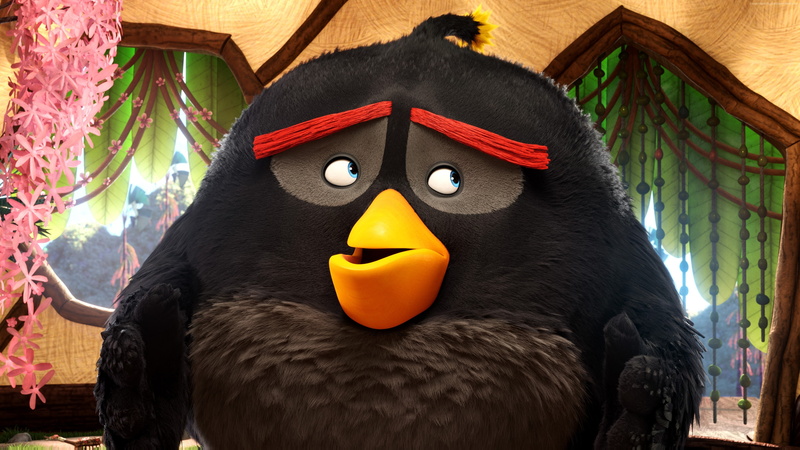 Best Animation Movies of 2016, 4K, bomb, Angry Birds Movie