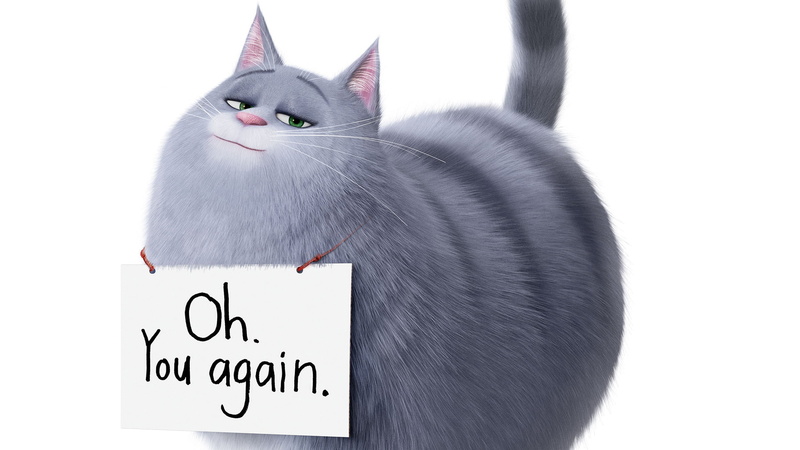 Chloe, cat, The Secret Life Of Pets 2, the inscription, cartoon, 1080P, The secret life of Pets