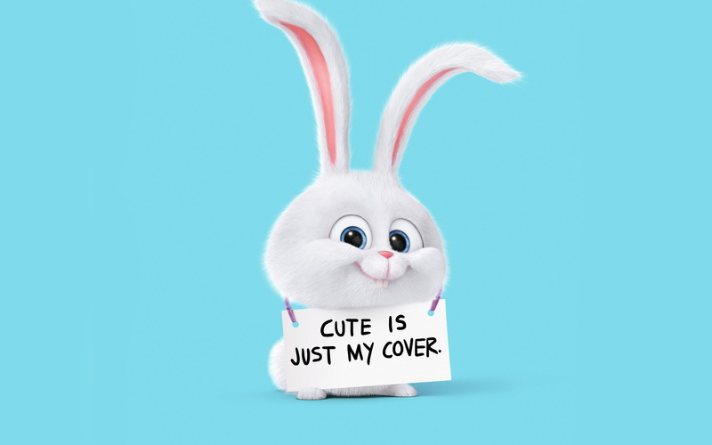 blue background, pet, smiling, 2K, blue eyes, The Secret Life of Pets, rabbits, bunny ears, looking at viewer