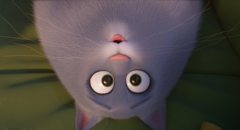 The Secret Life of Pets 2, Movie, 2K