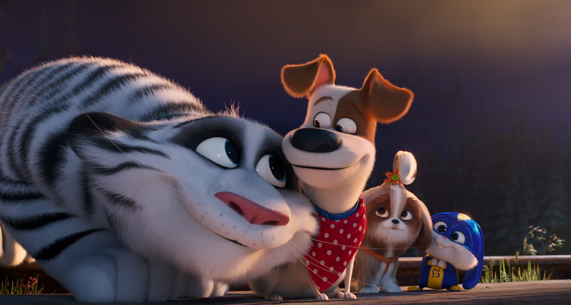 Movie, 4K, The Secret Life of Pets 2