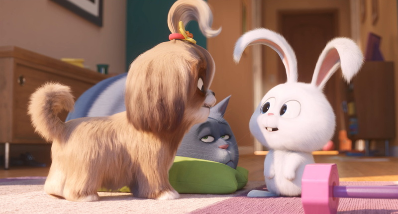 2K, Movie, The Secret Life of Pets 2