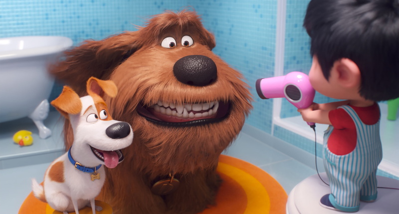 2K, The Secret Life of Pets 2, Movie