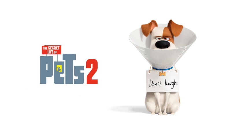 The Secret Life of Pets 2, Movie, 4K