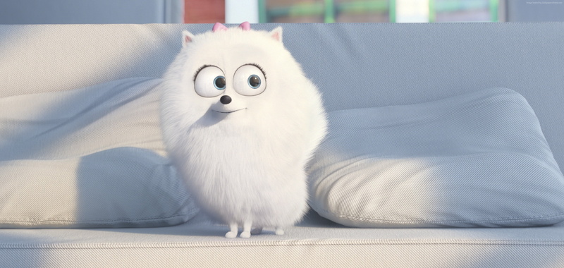 cartoon, Best Animation Movies of 2015, The Secret Life of Pets, 2K