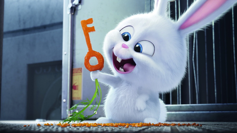 domestic, movies, day, one animal, fun, building exterior, whisker, vertebrate, white color, animal themes, domestic cat, no people, feline, bunny, mouth