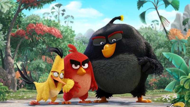Bomb, 4K, Red, 4K, Angry Birds, Chuck