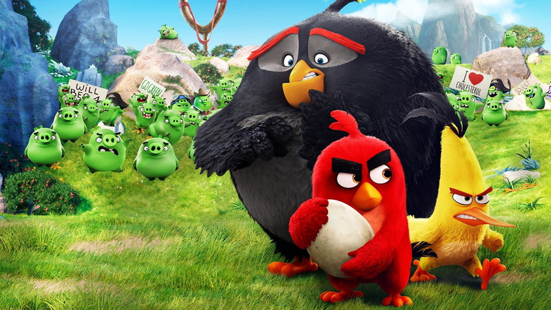 Bad Piggies, Red, angry, pi, Angry Birds, game, film, animated, birds, pigs, animated movie, pirate, 1080P, AB, Chuck, Bomb