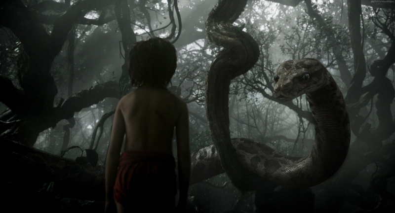 adventure, Mowgli, Best movie of 2016, 4K, Kaa, The Jungle Book, fantasy