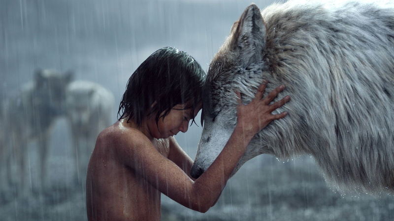 The Jungle Book, Wolf, Love, Movie, The Jungle Book (2016), Mowgli, 1080P
