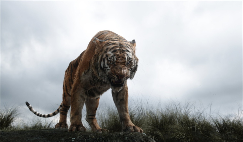 The Jungle Book (2016), The Jungle Book, 1080P, Shere Khan