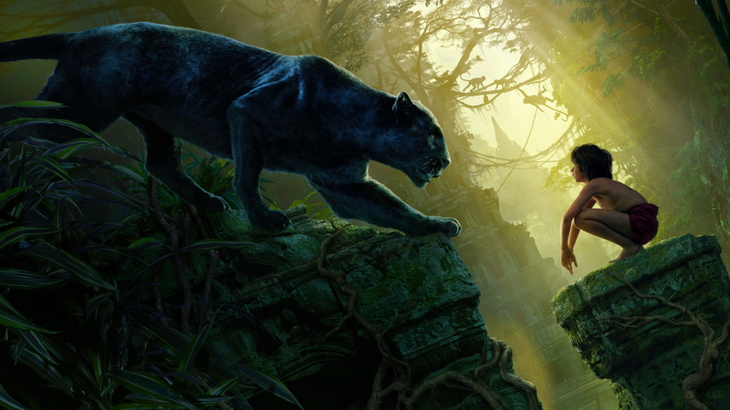 Panther, The Jungle Book (2016), 5K, Mowgli, Bagheera, Movie, The Jungle Book