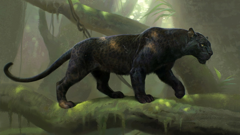 Bagheera, The Jungle Book, 1080P, Animal, Black Panther, The Jungle Book (2016)