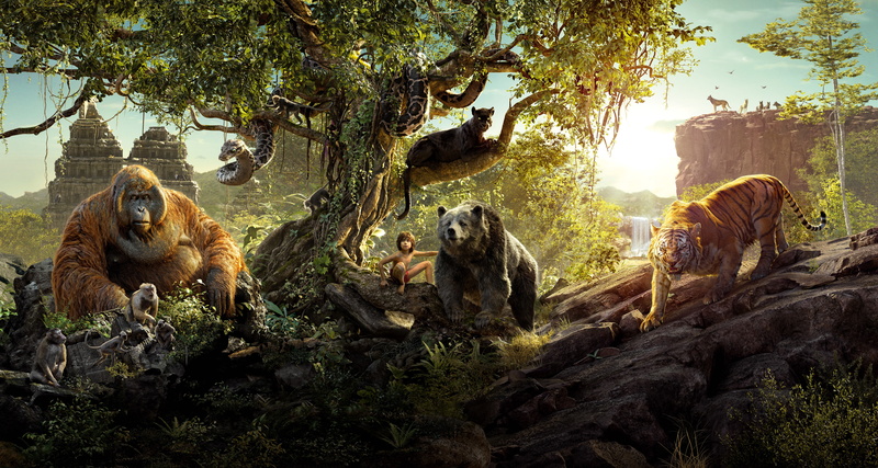 Mowgli, Jungle Book, Bagheera, King Louie, 5K, Shere Khan