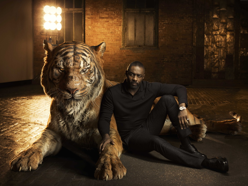 The Jungle Book, Idris Elba, fantasy, Shere Khan, Best movies of 2016, 8K, adventure