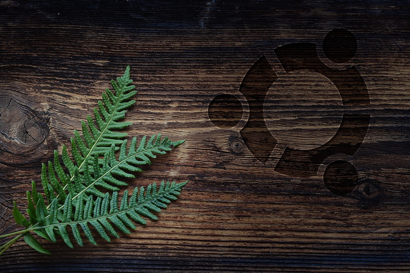 Ubuntu, Linux, leaves, 1080P, wood, table, nature