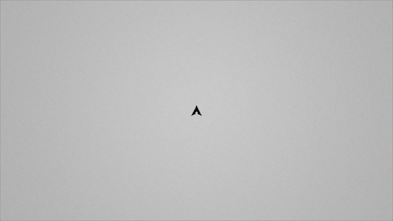vertebrate, Archlinux, copy space, minimalism, operating system, one animal, silhouette, sky, animals in the wild, clear sky, 1080P, beauty in nature