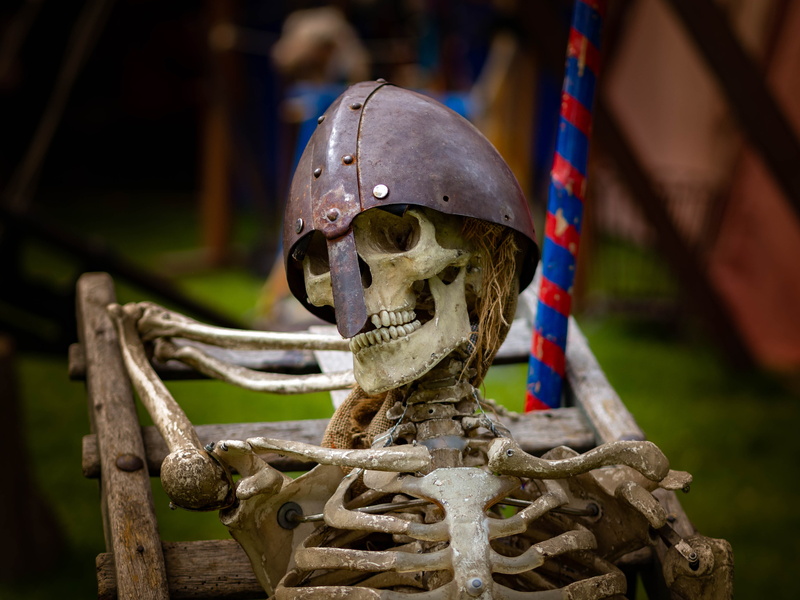 crown, historically, body part, flag, craft, spirit, focus on foreground, viking, representation, bone, art and craft, romans, human representation, 4K