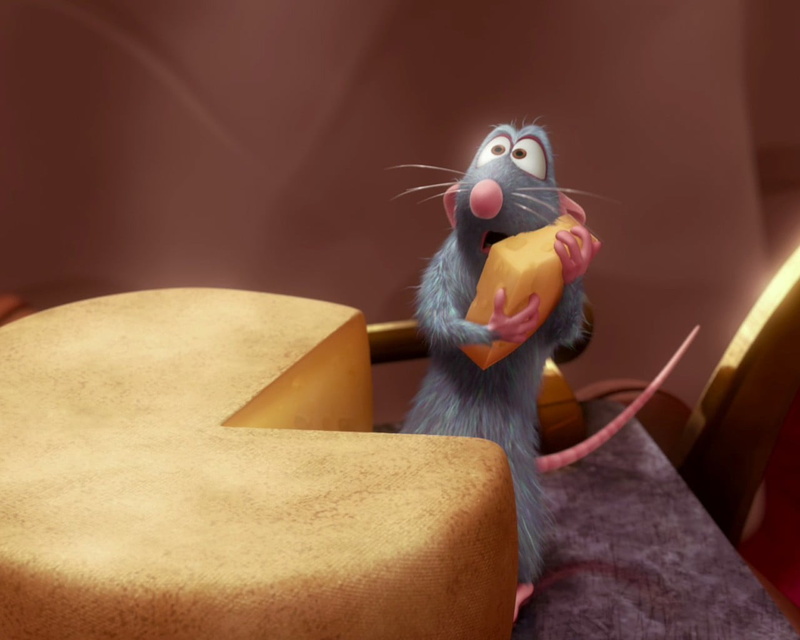 Ratatouille, bird, mouth, looking, close-up, rat, no People, domestic Cat, indoors, mouse, feline, domestic, animal head, pets, animal, fur, domestic Animals