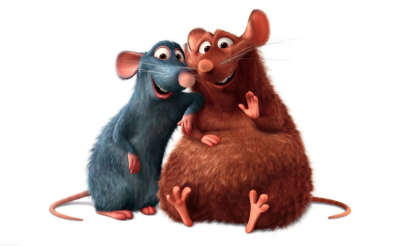 Emile (Ratatouille), 1080P, Ratatouille, humor, primate, white background, cute, fun, small, mammal, Movie, Ratatouille (Movie), animal, indoors, studio shot