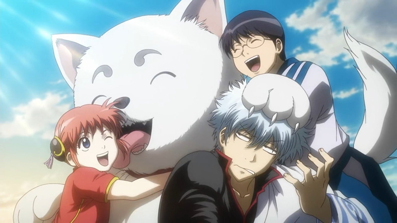 Gintoki Sakata, 1080P, Shimura Shinpachi, Anime, Gintama, Sadaharu (Gintama), Kagura (Gintama)
