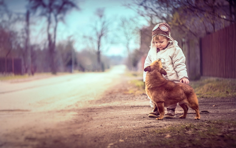 Cute, Boy, Dog, 1080P