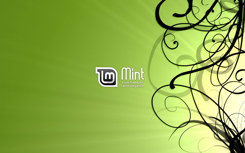 text, lighting equipment, close-up, built structure, Linux Mint, full frame, logo, copy space, architecture, cut out, studio shot, green background, no people