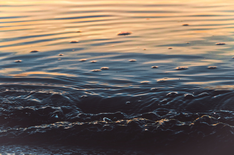 sunrise, nature, full frame, 5K, beak, no people, black swan, ocean, swan, puddle, garden, backgrounds, ripple, waterfowl, oil slick, rippled, pattern