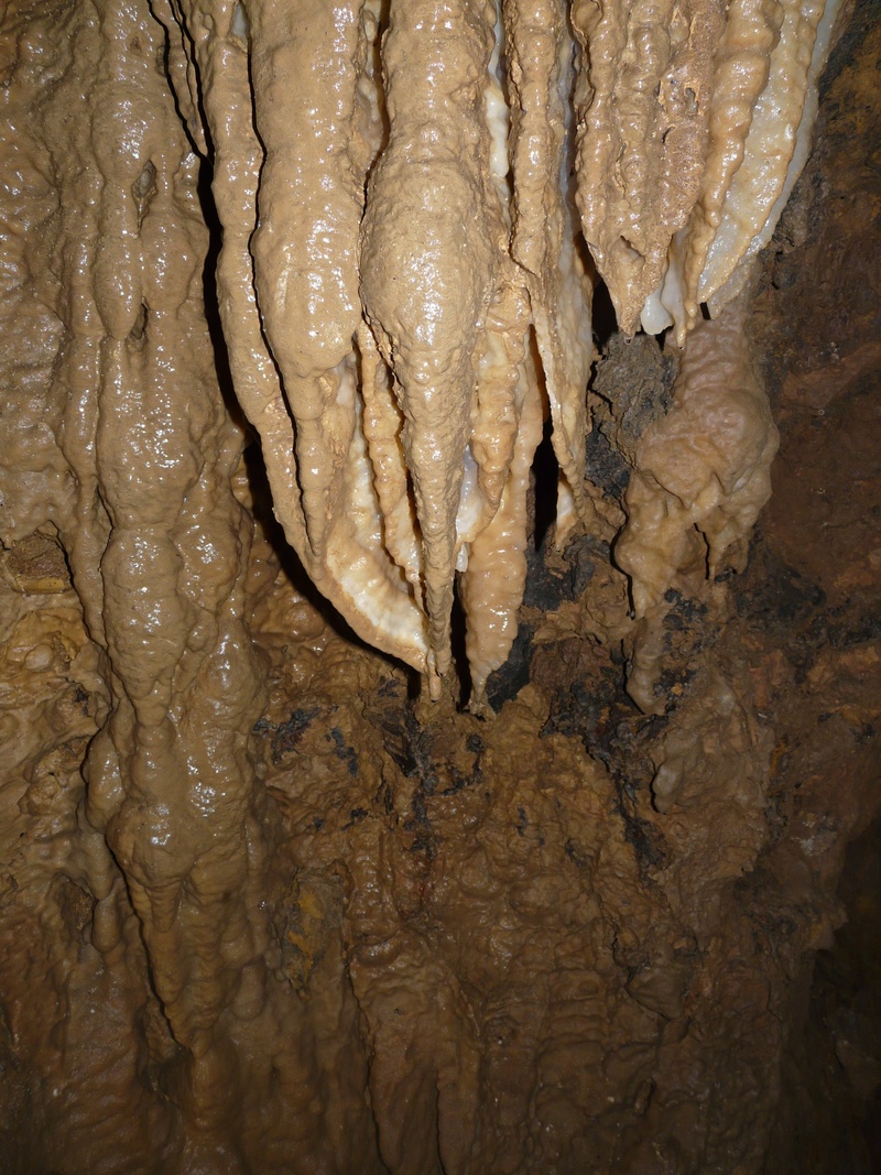 cave tour, rock, descent, day, cavity, food and drink, backup, cave, caving, steep, animal, backgrounds, vertebrate, brown, explore, pattern, full frame